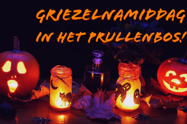 01/11: Griezelnamiddag