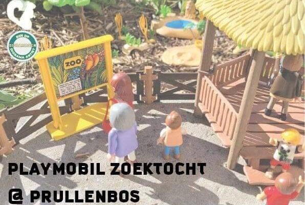 Playmobil zoektocht & workshop!